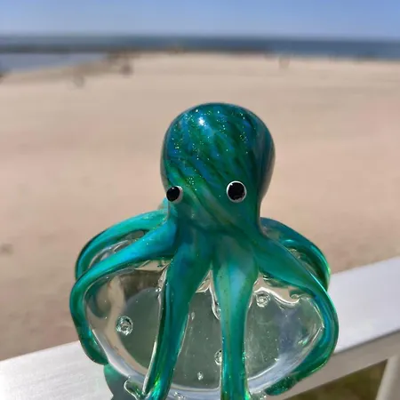 Apartmán Les Pieds Dans L'eau - *